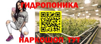 индика Кумертау